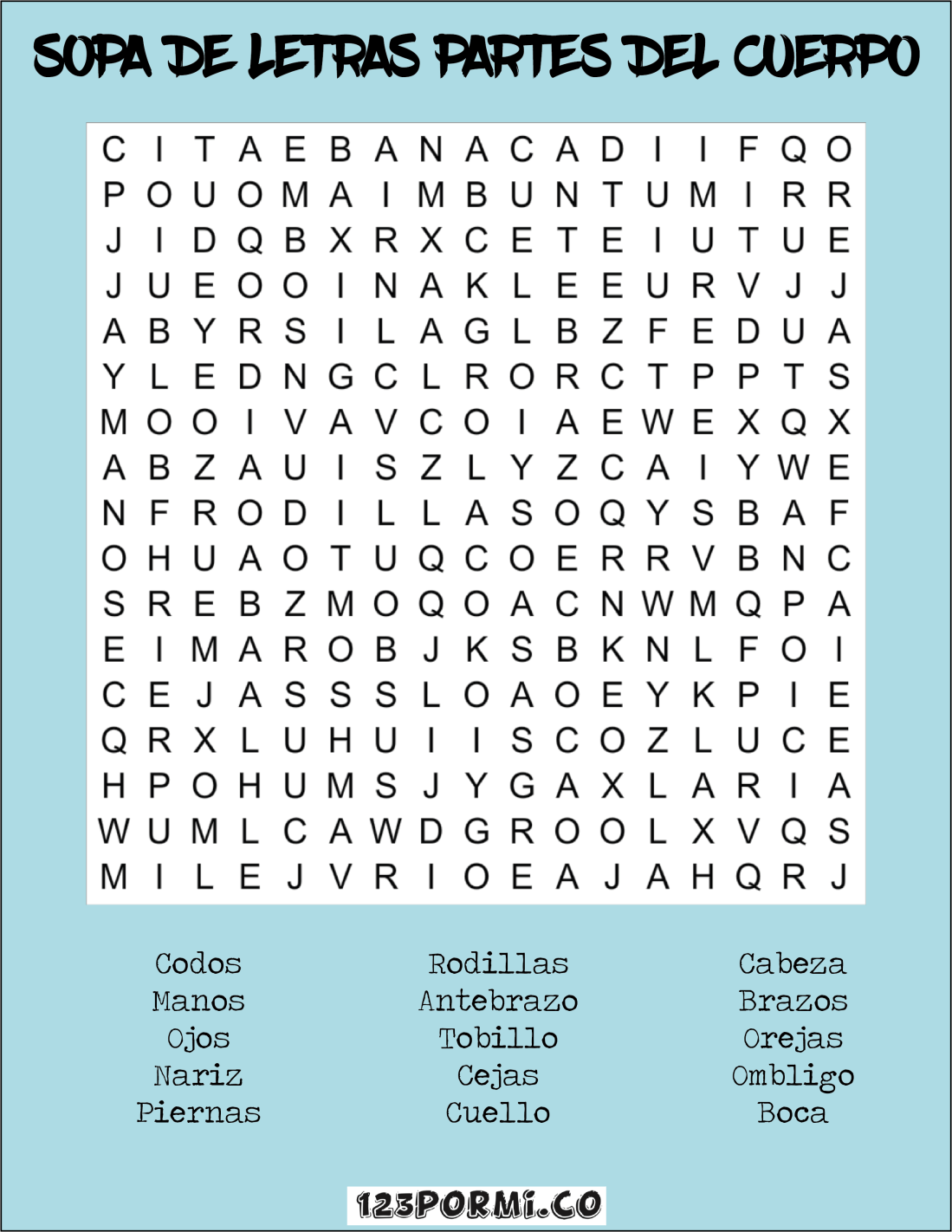 partes del cuerpo