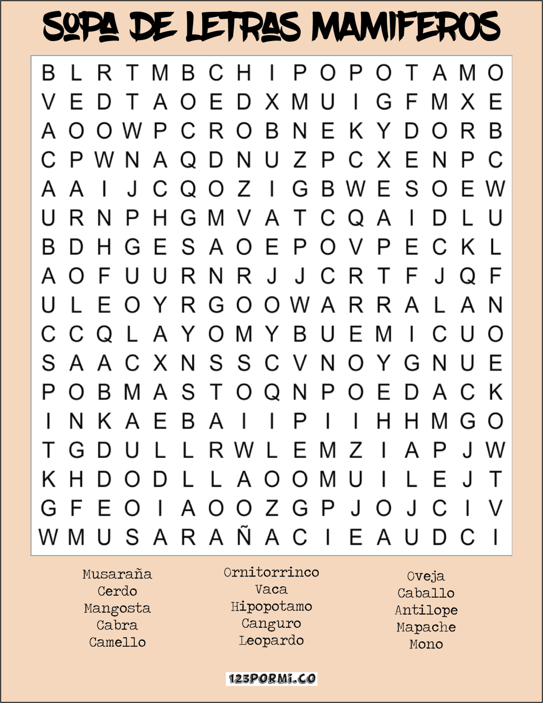 sopamamiferos.png