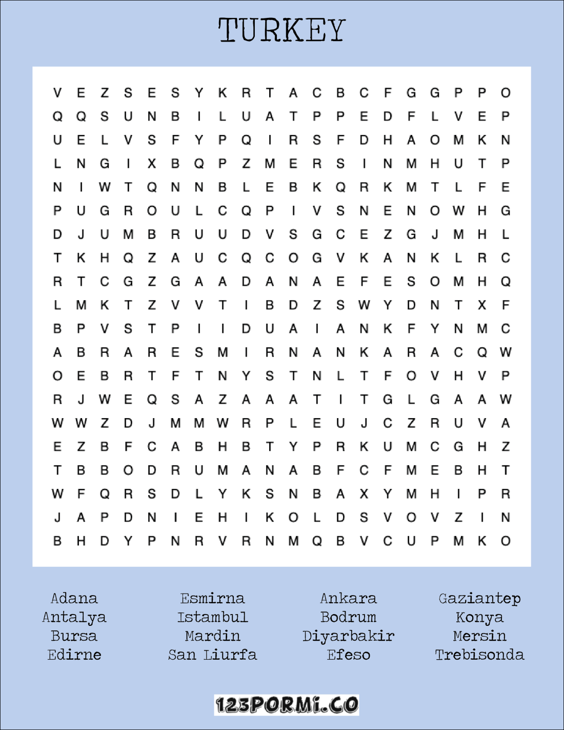 turkey_Mesa de trabajo 1